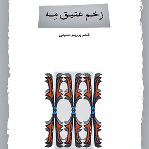 جهان شعری پرویز حسینی